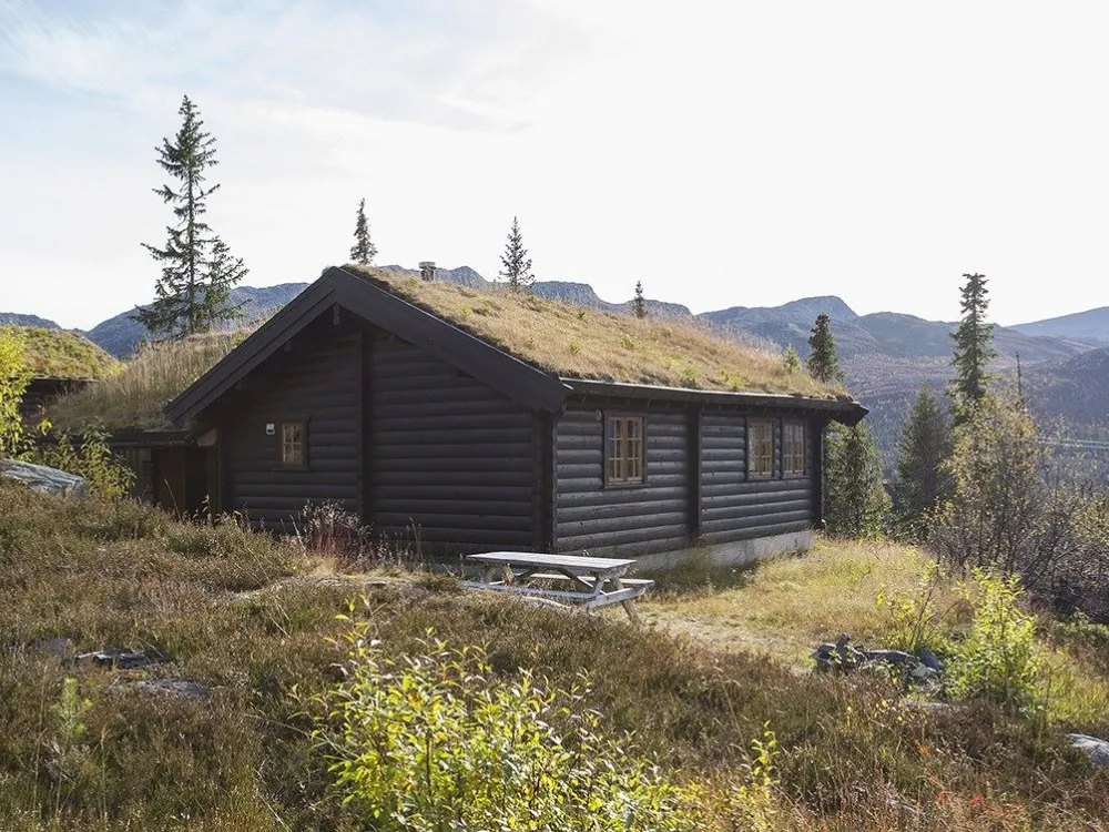 Cabins & Apartments (copy)