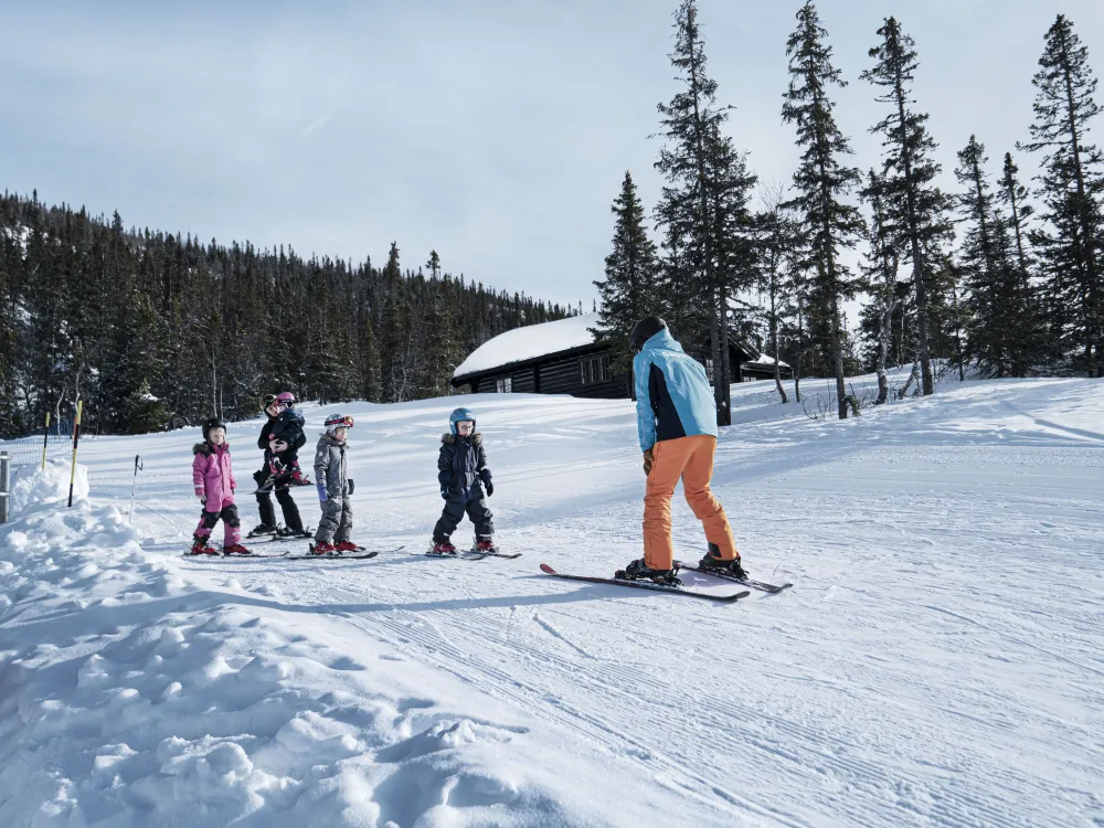 Group lessons for children aged 3 - 6
