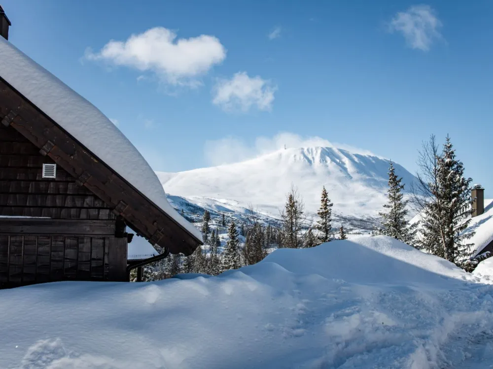 Kvitåvatn Fjellhytter #46