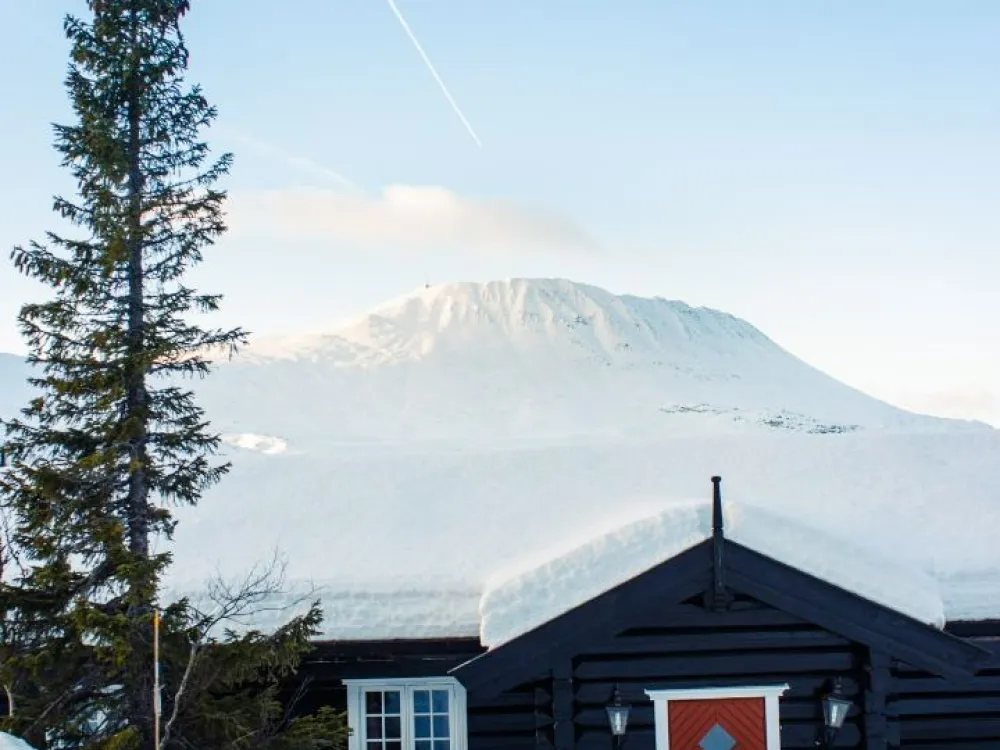 Kvitåvatn Fjellhytter #46