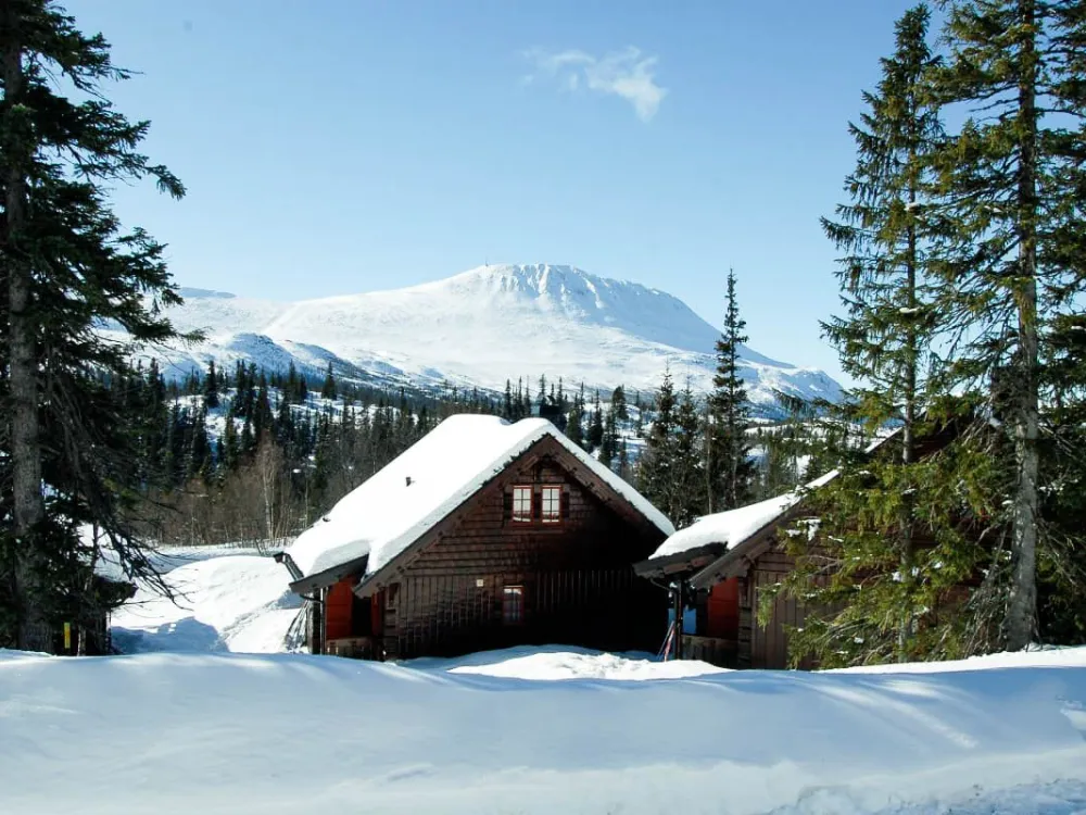 Kvitåvatn Fjellhytter #40