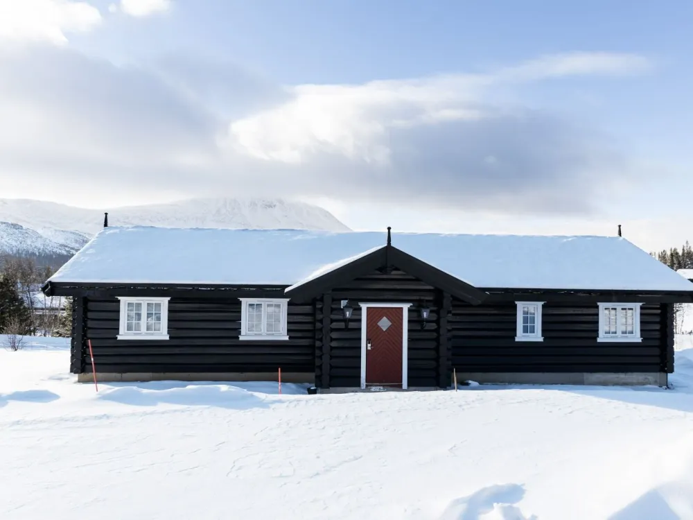 Gaustablikk Fjellhytte #701