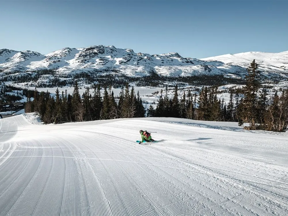 Tour Operator Ski pass (incl. keycard)