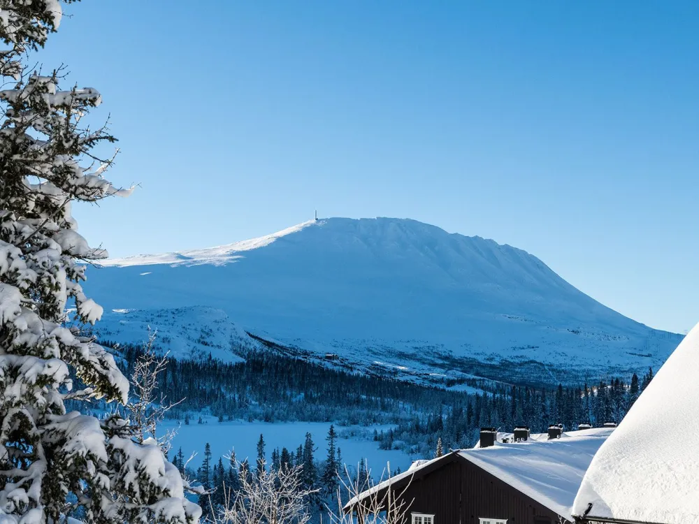 Kvitåvatnvegen #533