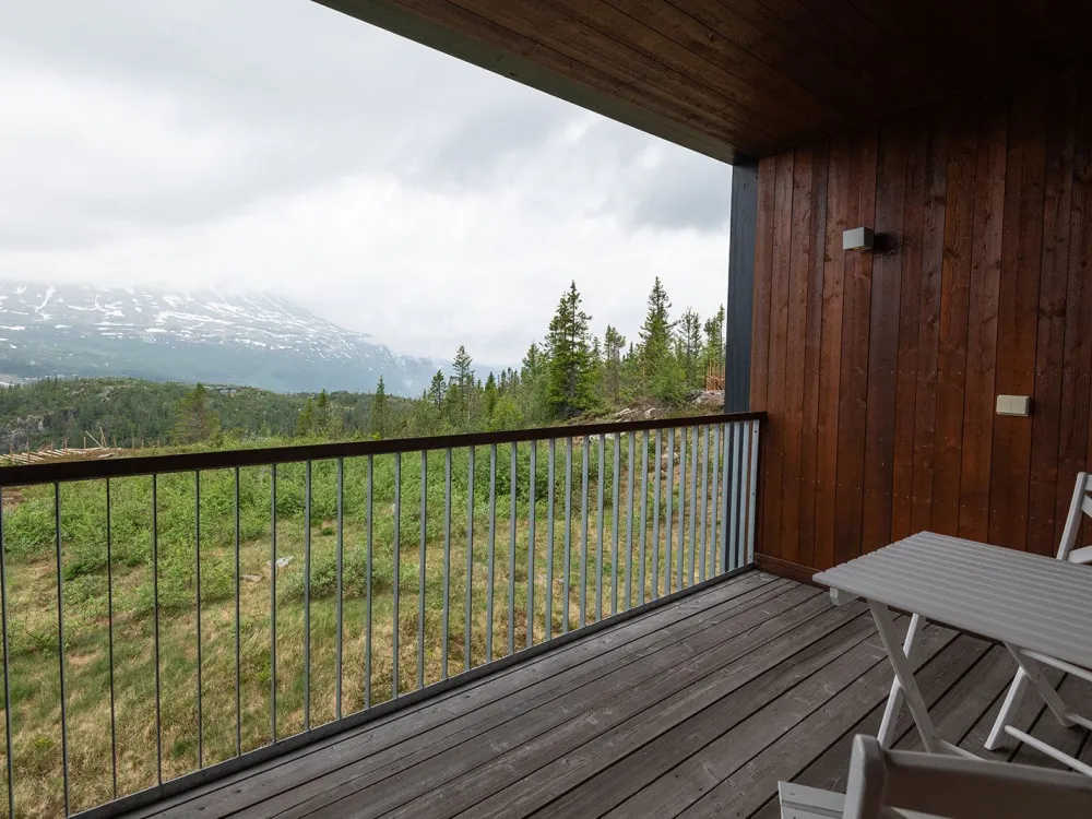 Gaustatoppen Lodge D203