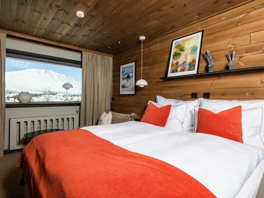 Double Room with Mountain View